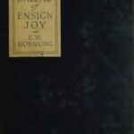 The Ballad of Ensign Joy