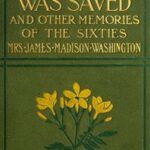 How Beauty Was Saved, and Other Memories of the Sixties