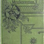 Misunderstood