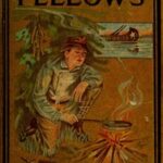 Our Fellows; Or, Skirmishes with the Swamp Dragoons