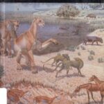 Agate Fossil Beds National Monument, Nebraska