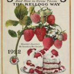 Kellogg's Great Crops of Strawberries, and How to Grow Them the Kellogg Way