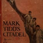 Mark Tidd's Citadel