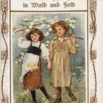 Tiere und Pflanzen in Wald und Feld