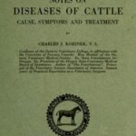 Notes on Diseases of Cattle: Cause, Symptoms and Treatment
