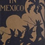Jack Straw in Mexico: How the Engineers Defended the Great Hydro-Electric Plant