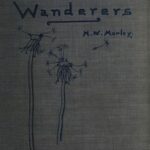 Little Wanderers