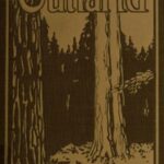 Outland