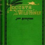 Locusts and Wild Honey