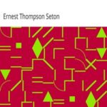 Johnny Bear, and Other Stories from Lives of the Hunted