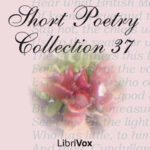 Short Poetry Collection 037