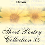 Short Poetry Collection 085