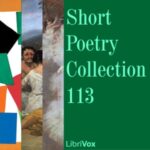 Short Poetry Collection 113