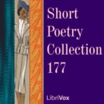 Short Poetry Collection 177