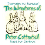 The Adventures of Peter Cottontail