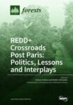 Redd+ Crossroads Post Paris: Politics, Lessons and interplays