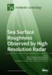 Sea Surface Roughness Observed by High Resolution Radar