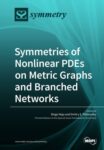 Symmetries of Nonlinear PDEs on Metric Graphs and Branched Networks