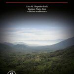 ¿Utopía u oportunidad fallida?: Análisis crítico del Acuerdo de Paz