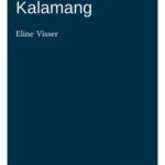 A grammar of Kalamang