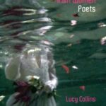 Contemporary Irish Women Poets: Memory and Estrangement