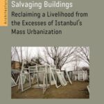 Salvaging Buildings: Reclaiming a Livelihood from the Excesses of Istanbul's Mass Urbanization