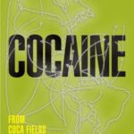 Cocaine: From Coca Fields to the Streets