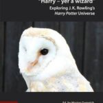 "Harry - yer a wizard": Exploring J.K. Rowling's Harry Potter Universe