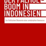 Der Palmölboom in Indonesien: Zur Politischen Ökonomie einer umkämpften Ressource