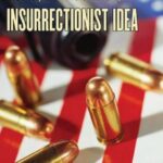 Guns, Democracy, and the Insurrectionist Idea