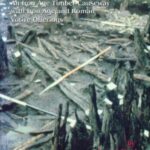 Fiskerton: Iron Age Timber Causeway with Iron Age and Roman Votive Offerings