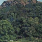 The Mote of Mark: A Dark Age Hillfort in South-West Scotland