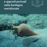 Traffici commerciali e approdi portuali nella Sardegna meridionale: Analisi dei contenitori da trasporto e dei contesti subacquei (III-VII secolo)