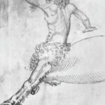 Law and Ecology: New Environmental Foundations