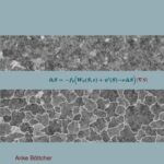 Study of an alternative phase field model for low interfacial energy in elastic solids