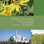 Bioenergie im Spannungsfeld - Wege zu einer nachhaltigen Bioenergieversorgung