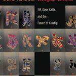 Biological Relatives: IVF, Stem Cells and the Future of Kinship