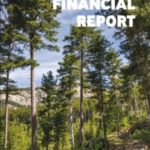 EIB Financial Report 2019