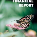 EIB Financial Report 2021