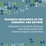 Business resilience in the pandemic and beyond: Adaptation, innovation, financing and climate action from Eastern Europe to Central Asia