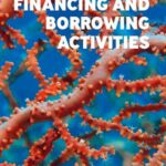 EIB financing and borrowing activities 2020