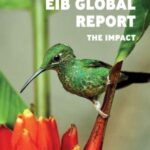 EIB Global Report: The Impact