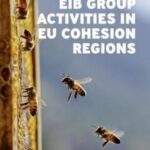 EIB Group activities in EU cohesion regions in 2021: A bigger, bolder and more focused approach to cohesion