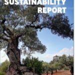 EIB Group Sustainability Report 2019