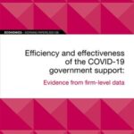 EIB Working Paper 2021/06 - Efficiency and effectiveness of the COVID-19 government support: Evidence from firm-level data
