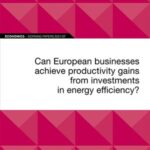 EIB Working Paper 2021/07 - Can European businesses achieve productivity gains from investments in energy efficiency?