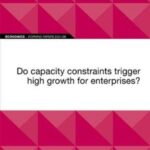 EIB Working Paper 2021/08 - Do capacity constraints trigger high growth for enterprises?