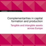 EIB Working Paper 2021/12: Complementarities in capital formation and production