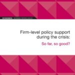 EIB Working Paper 2022/01: Firm-level policy support during the crisis
