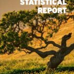 EIB Statistical Report 2019